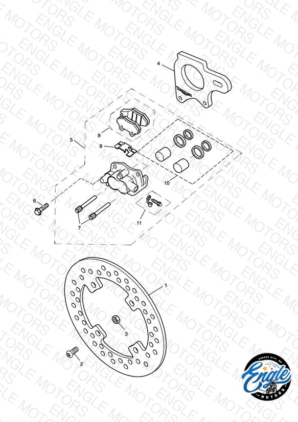 Rear Brake & Disc