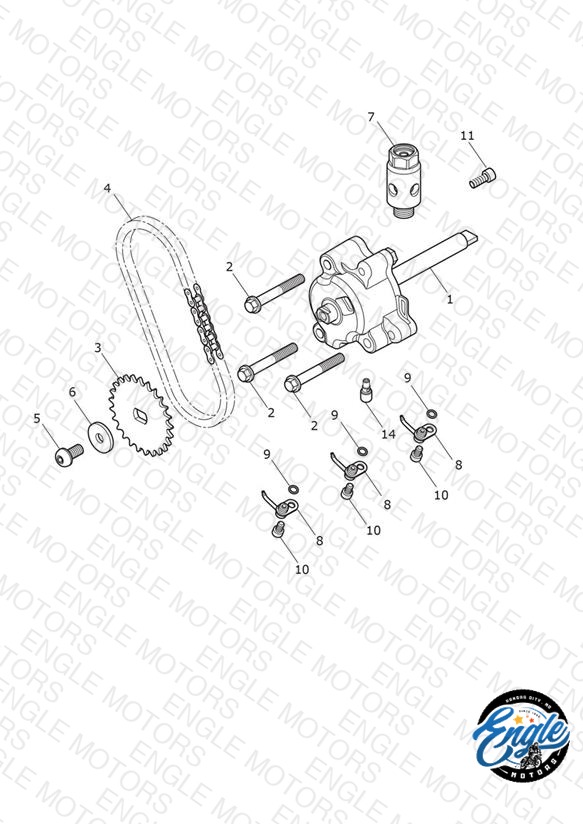 Oil Pump & Drive