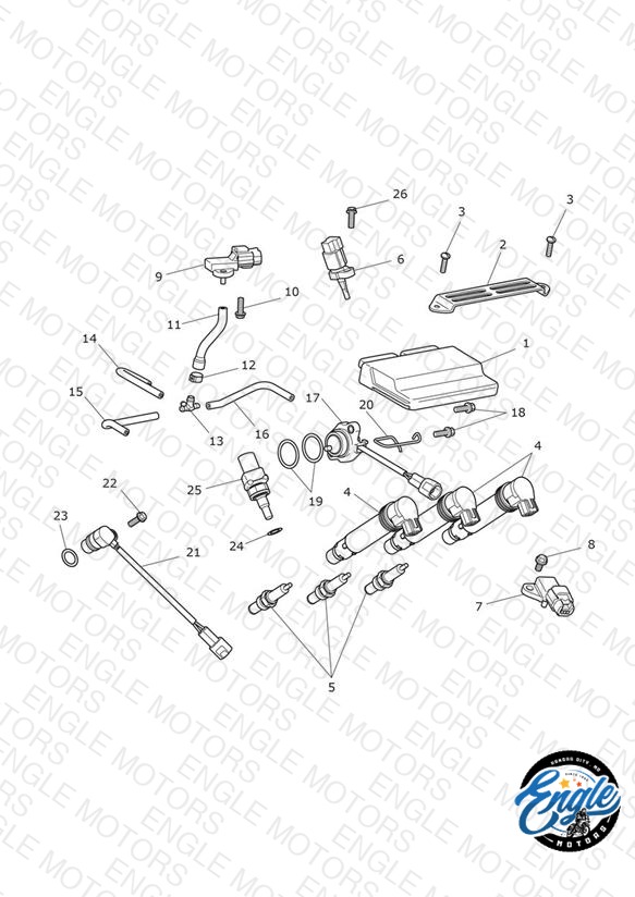 Engine Management System