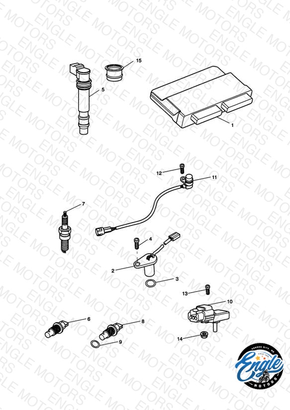Engine Management System
