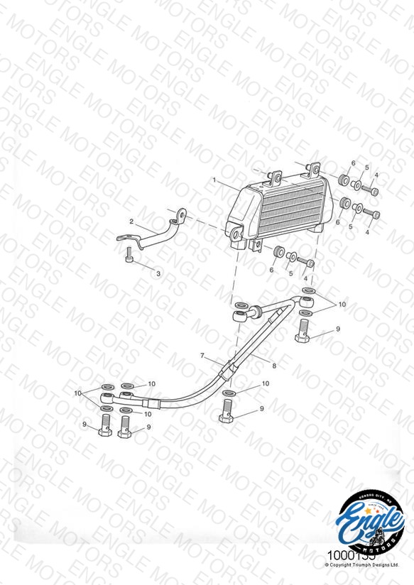 Oil Cooler