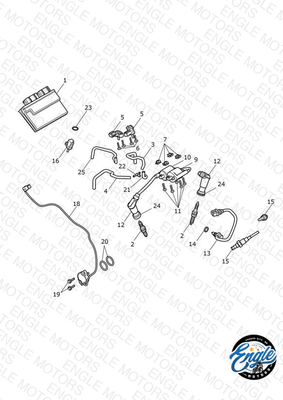 Engine Management System