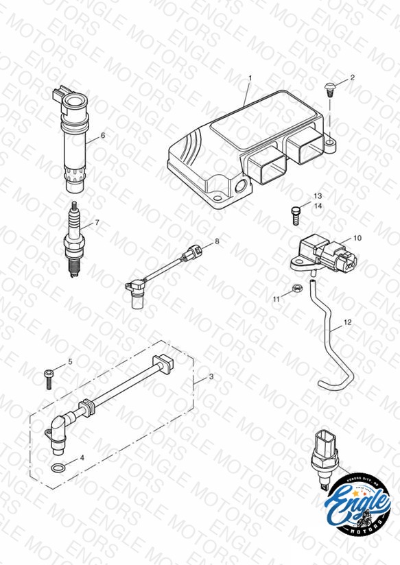 Engine Management System