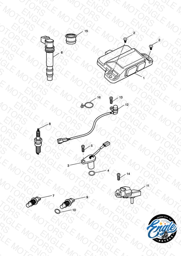 Engine Management System