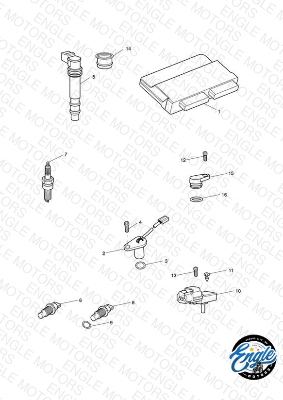 Engine Management System