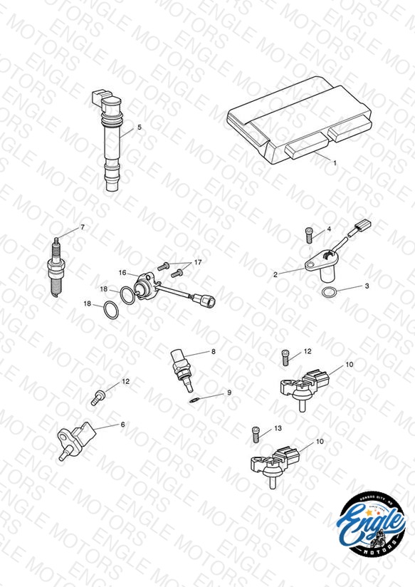 Engine Management System