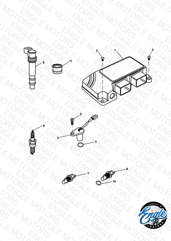 Engine Management System