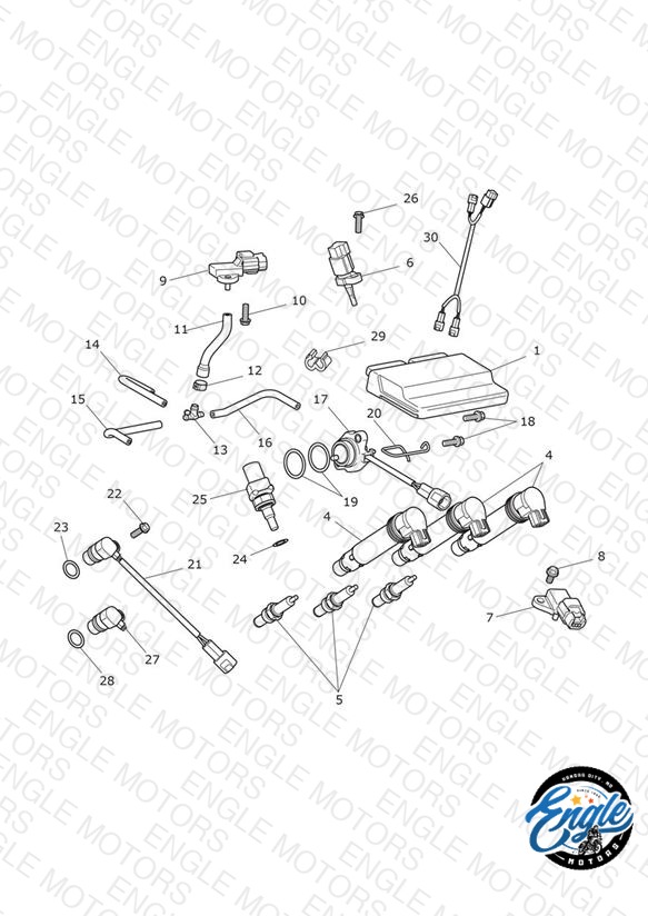 Engine Management System