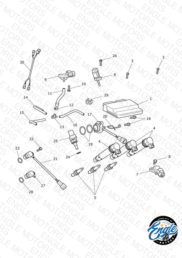 Engine Management System