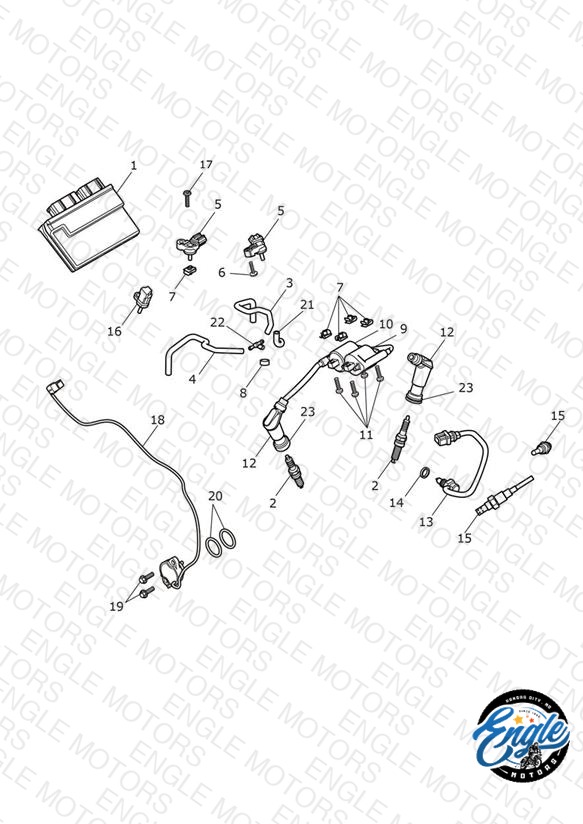 Engine Management System
