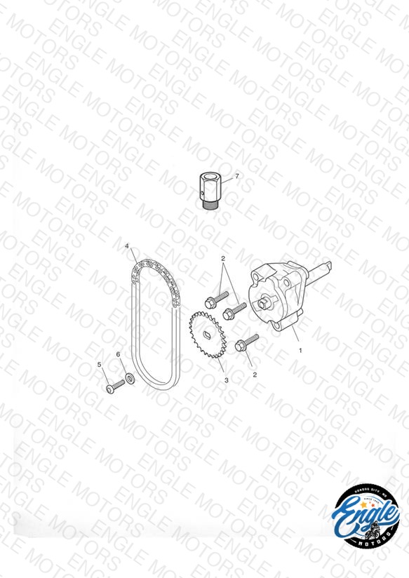 Oil Pump & Drive