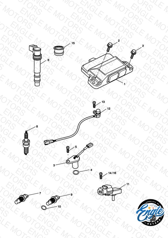 Engine Management System