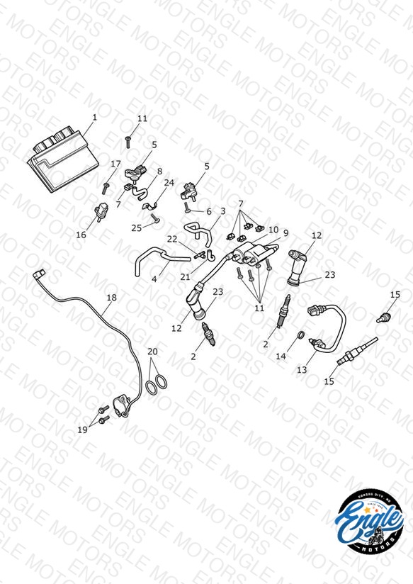 Engine Management System