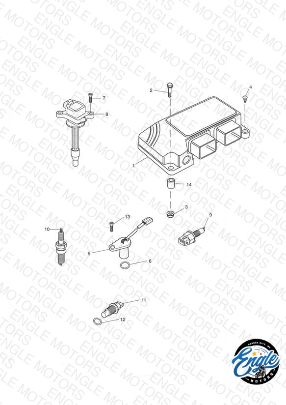 Engine Management System