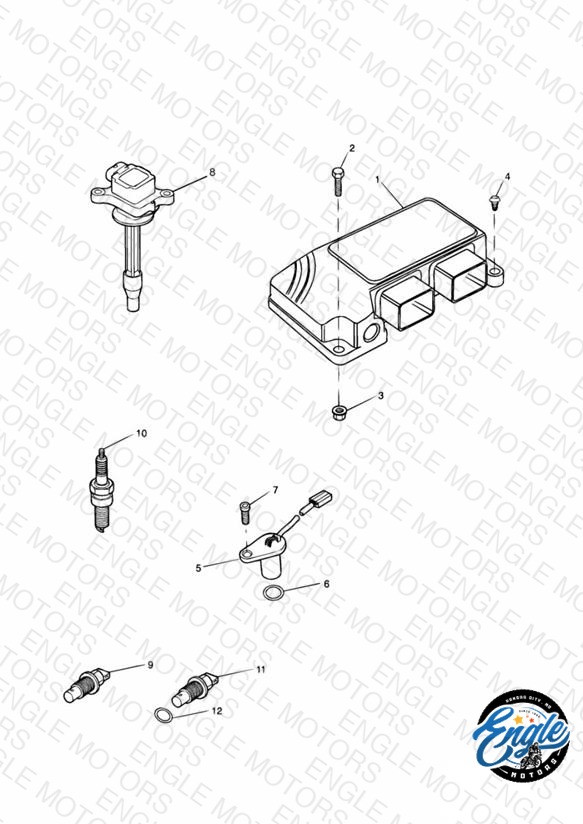 Engine Management System