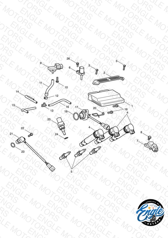 Engine Management System