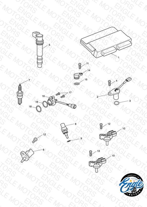 Engine Management System