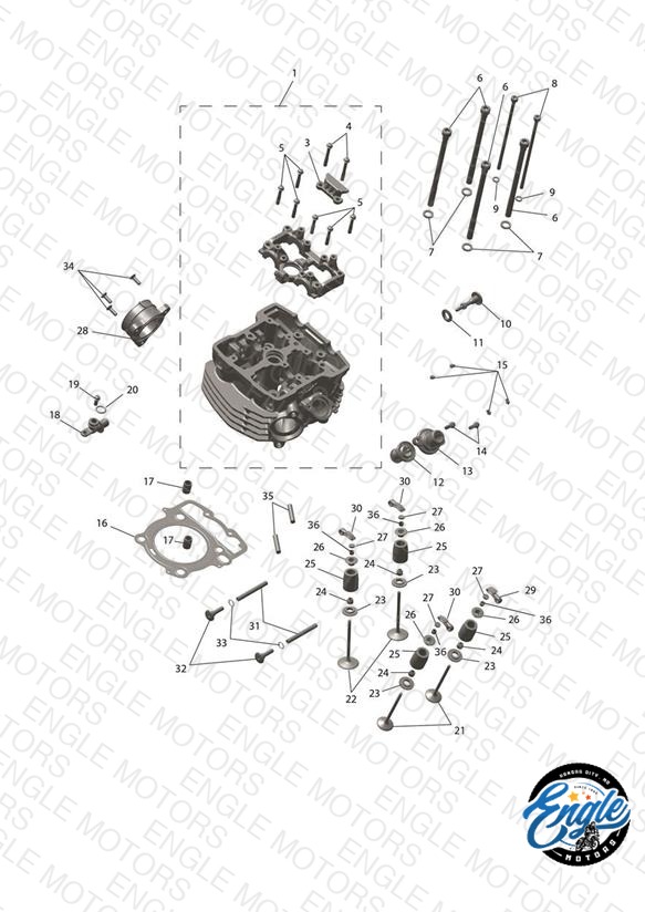 Cylinder Head & Valve Drive