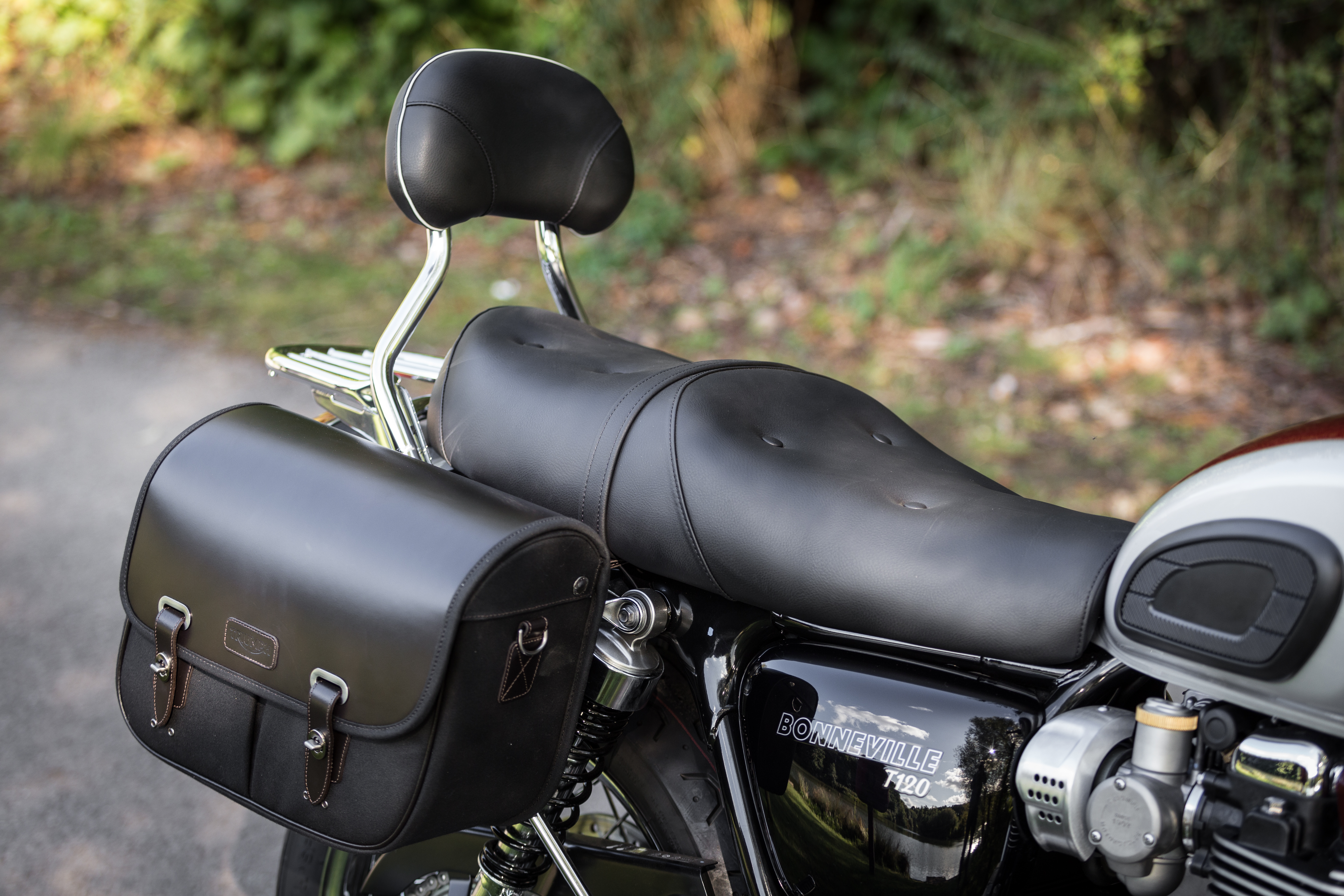 Uprights Kit, Backrest, Chrome photo 4