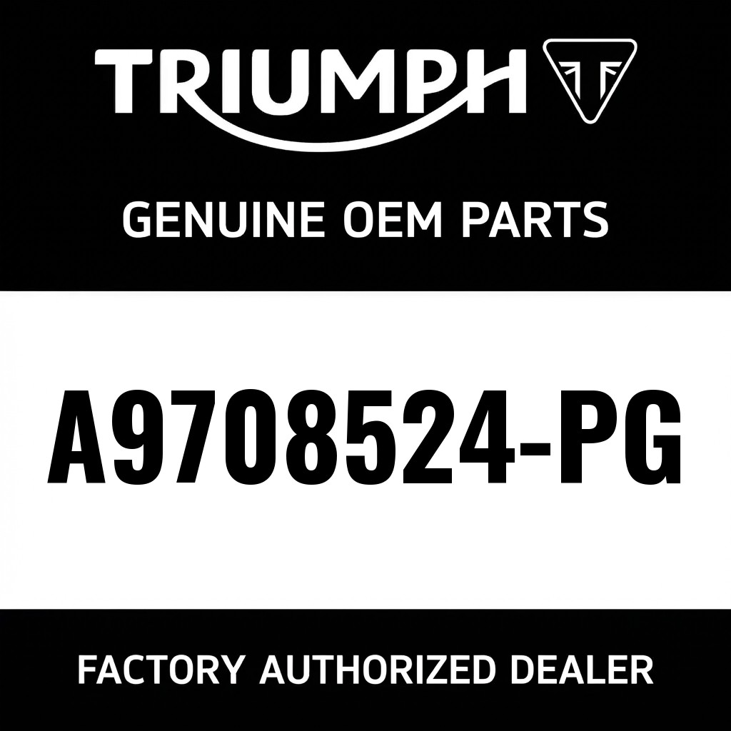 Dolphin Fairing Kit image 1