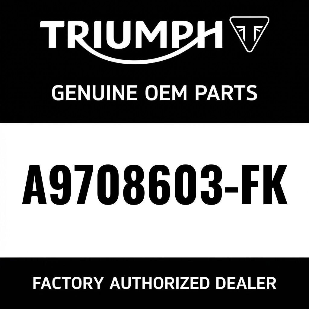 Flyscreen Kit, Triumph Racing Yellow image 1