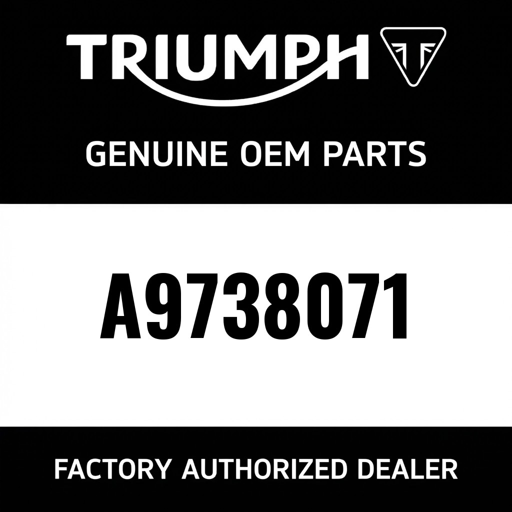 Passenger Backrest & L/Rack Low Kit image 1