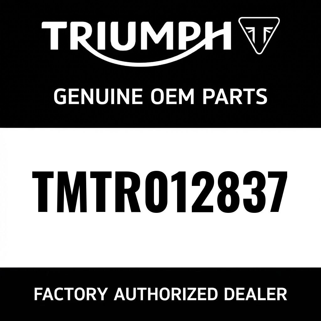 Brush Set, DC Motor L-360 image 1
