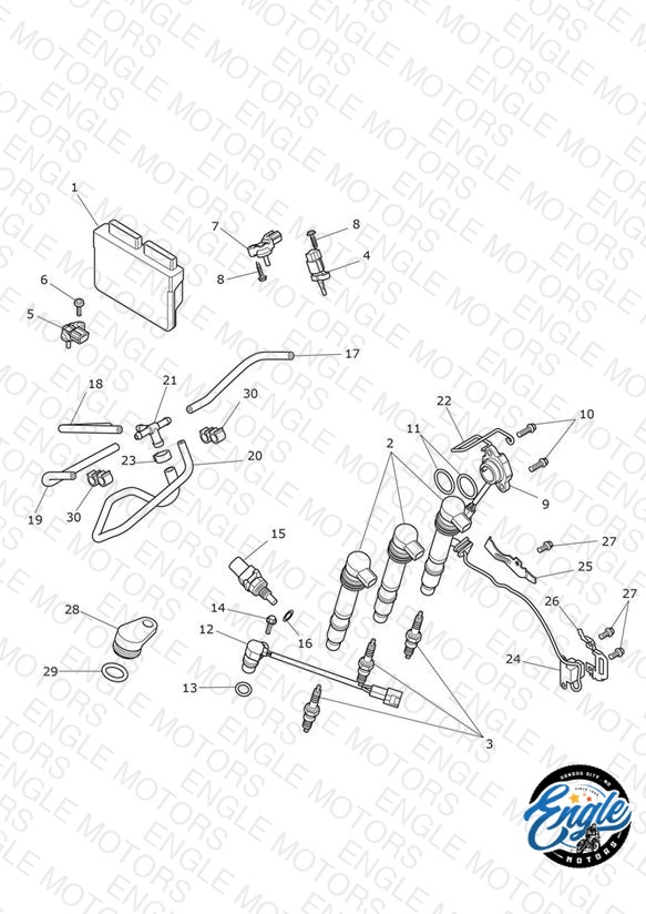 Engine Management System