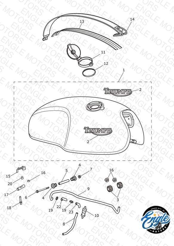 Fuel Tank- Competition Green, Final Edition