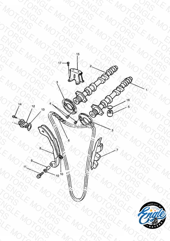 Camshaft and Drive