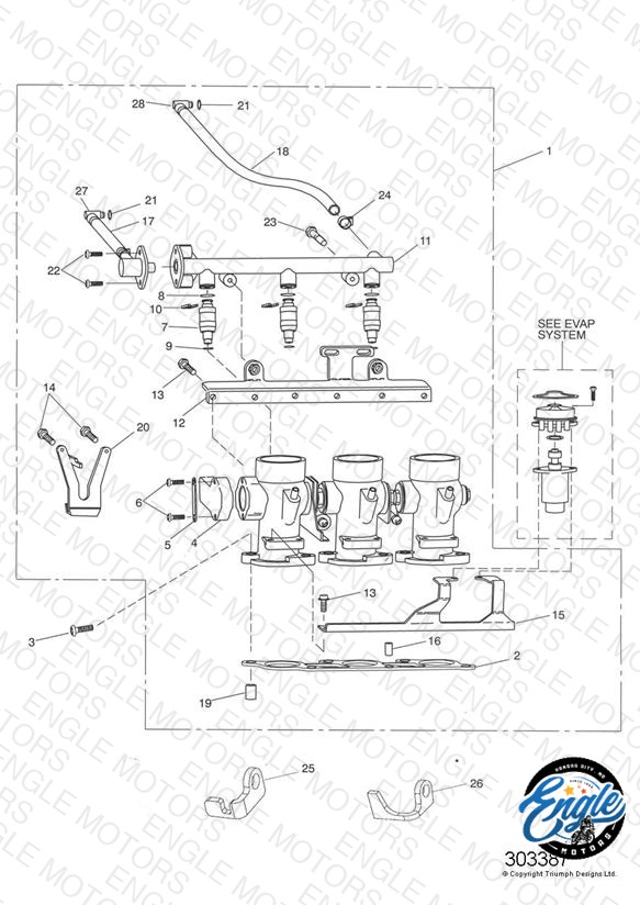 Throttles/Injectors and Fuel Rail