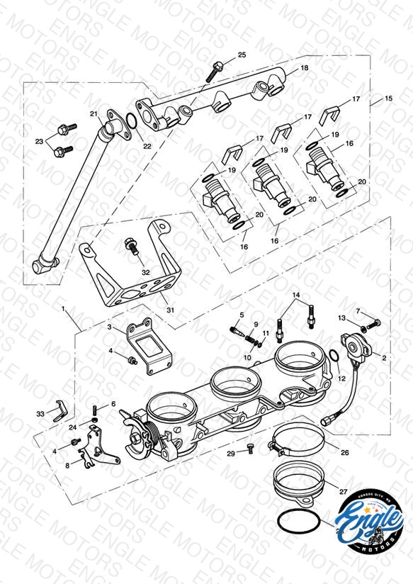 Throttles/Injectors and Fuel Rail 207555 >
