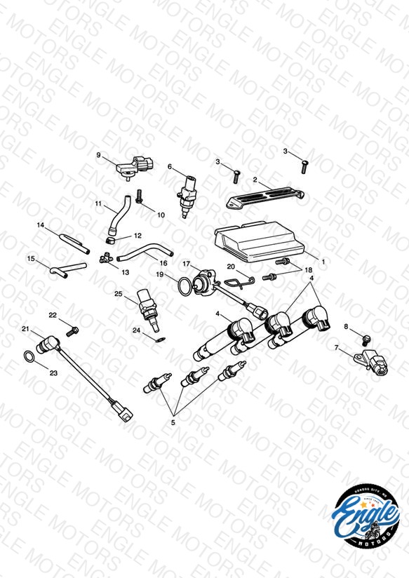 Engine Management System
