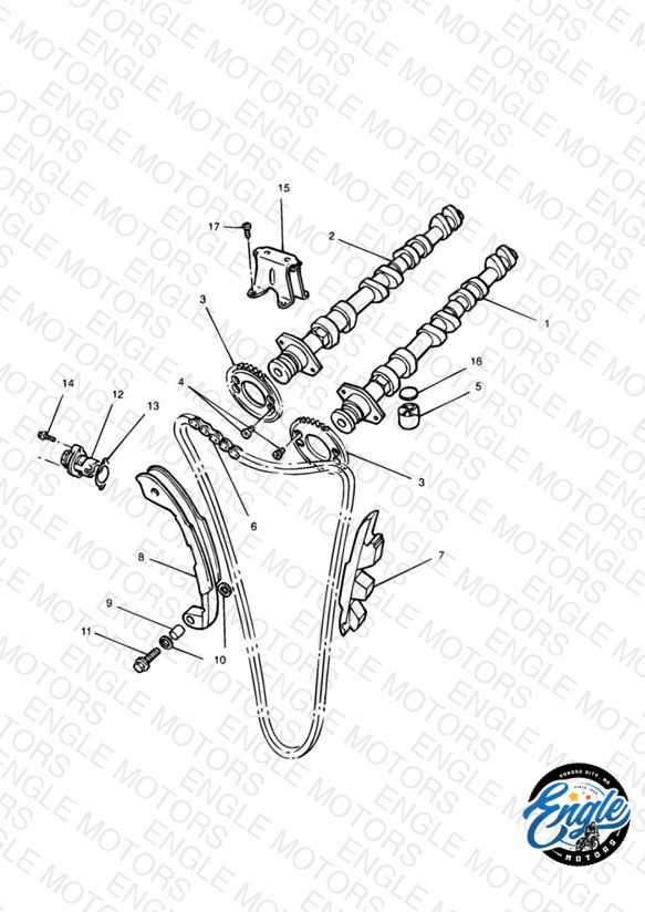 Camshaft and Drive